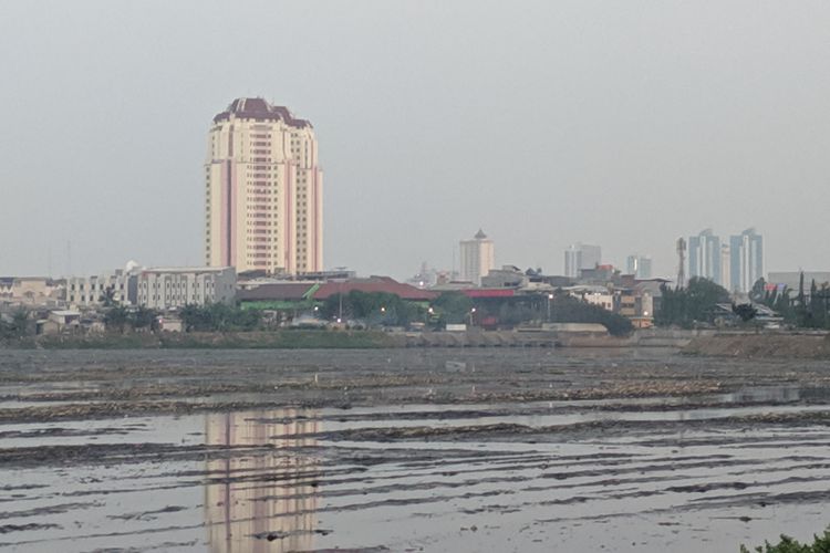 Sedimen lumpur semakin jelas terlihat di Waduk Pluit, Jakarta Utara, Selasa (11/6/2019). Waduk itu sengaja dikosongkan airnya dan sedimennya dikeruk.