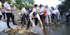 Jaga Ekosistem, KKP Lepas Liarkan 50.000 Ekor Ikan di Kali Ciliwung