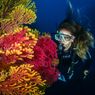 Tips Belajar Menyelam untuk Pemula, Bisa Mulai dari Scuba Diving