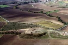 Ditemukan Bekas Perkebunan Anggur di Abad ke-10