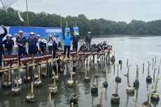 Sepanjang 2023, WIKA Berencana Tanam 20.000 Mangrove