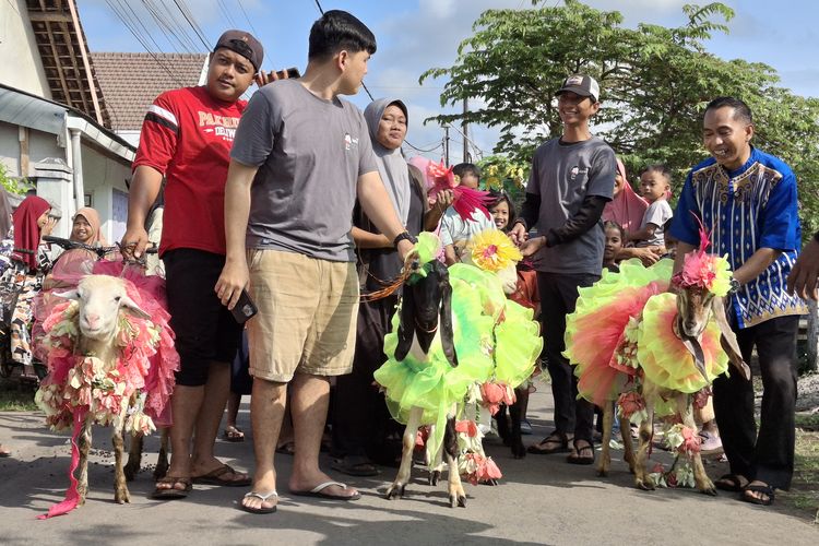 Tradisi Idul Adha di Lumajang, Kambing Dirias dan Diarak Keliling Kampung Sebelum Dikurbankan