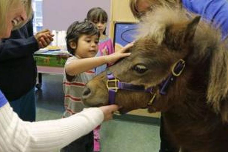 Terapi hewan di Pusat Medis Universitas Rush, Chicago untuk pasien anak-anak.