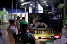 Cegah Wabah PMK, Polisi Periksa Angkutan Hewan Ternak di Perbatasan Aceh