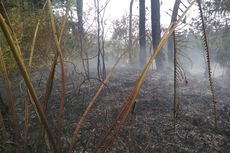 Sebagian Kawasan Hutan Lindung Gunung Slamet yang Terbakar Berhasil Dipadamkan