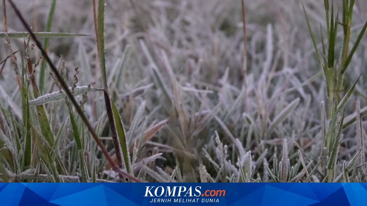 Viral “Salju” di Perbukitan Ciwidey Bandung, Ini Penjelasan BMKG soal Lapisan Putih