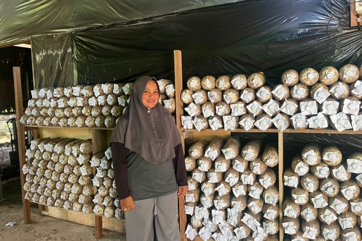 Setelah melakukan inovasi untuk mengolah jamur yang tersisa, Astuti dipercaya menjadi Ketua Klasterisasi Bank Sampah di Kampung Madani, Waru, Penajam, Kalimantan Timur.