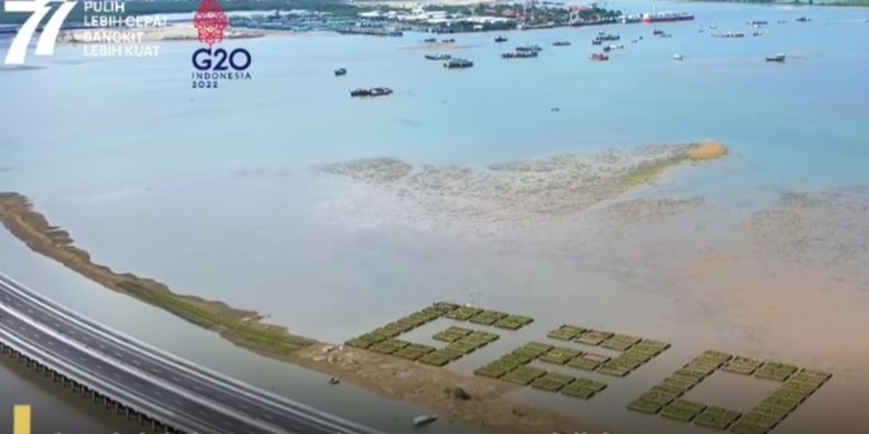 Bibit mangrove bertuliskan G20 di Jalan Tol Bali-Mandar.