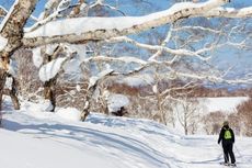 5 Tempat Terbaik Menikmati Salju di Jepang