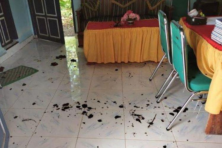 Kantor Desa Balibo, Kecamatan Kindang, Kabupaten Bulukumba, Sulawesi Selatan (Sulsel), dipenuhi kotoran hewan.