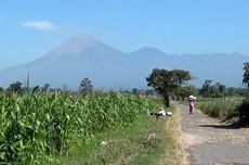 Cerita Warga Lereng Semeru, Terbiasa Lihat Erupsi dan Pilih Bertahan