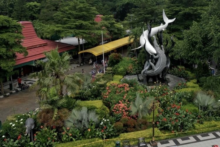 Tiga tahun kemudian, pada 1920, lokasi Kebun Binatang Surabaya kembali dipindahkan ke kawasan Darmo, di atas lahan seluas 30.500 meter persegi yang disediakan oleh perusahaan kereta api Oost-Java Spoortram Maatschappij (OJS). Lokasi ini menjadi tempat permanen yang digunakan hingga sekarang.