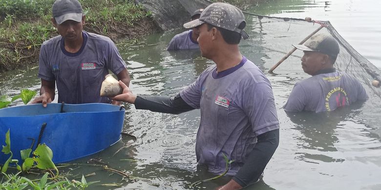 Warga Indramayu penerima manfaat program pemberdayaan budi daya ikan Gurame dukungan dari donatur-donatur Dompet Dhuafa, beberapa waktu lalu.