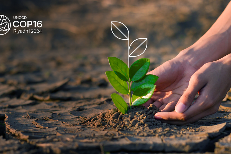 Ilustrasi konferensi perlawanan penggurunan UNCCD COP16.