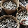 New Normal, Adaptasi Teknologi di Sektor Perikanan Didorong