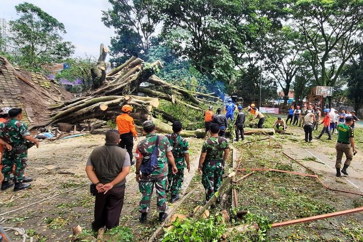 Tim gabungan BPBD, Dinsos, TNI dan Polri Tasikmalaya membereskan puing reruntuhan pohon besar akibat cuaca buruk melanda Kota Tasikmalaya di Kompleks Olahraga Dadaha, Kota Tasikmalaya, Rabu (26/1/2022).