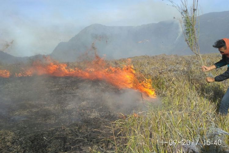 Perugas terlihat berjibaku memadamkan api yang melalap padang sabana Bromo.