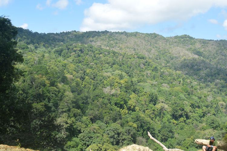 Kawasan Taman Nasional MataLawa di Pulau Sumba, NTT.