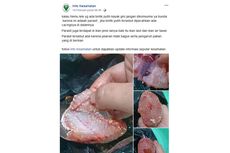 Viral Bintik Putih pada Ikan Lele Disebut Mengandung Cacing, Benarkah?