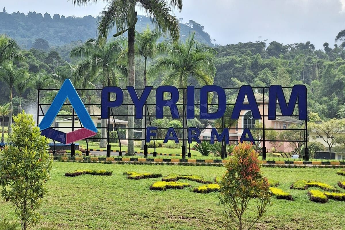 PT Pyridam Farma Tbk (PYFA), melalui anak usahanya, PYFA Australia Pty Ltd, berencana mengakuisisi perusahaan farmasi asal Australia, Probiotec Limited.