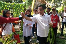 Panen Petai di Konferensi Indonesia Berkebun 2016