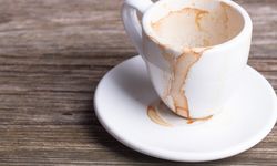 3 Cara Menghilangkan Noda Kopi dan Teh di Mug, Bisa Kinclong Lagi