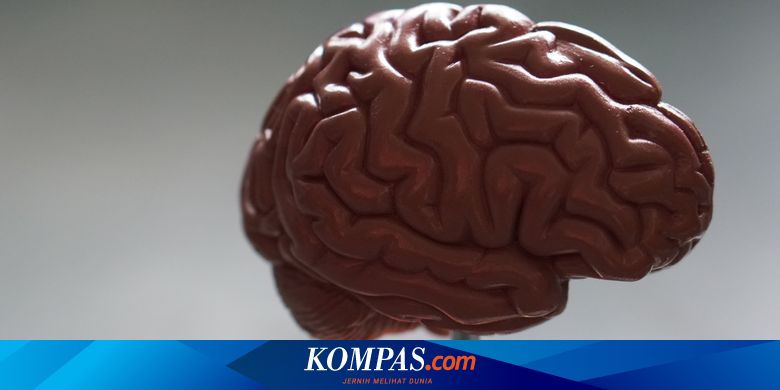 Ramai soal Otak Brigadir J Berada di Perut Saat Otopsi Kedua, Begini Penjelasan Dokter Forensik