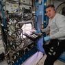 Pertama Kali, Astronot Tanam Cabai di Stasiun Luar Angkasa Internasional
