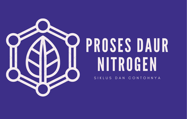 Ilustrasi proses daur nitrogen 