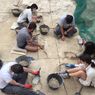 Fosil Hewan dari Badak hingga Nenek Moyang Jerapah Ditemukan di Situs Kuno Spanyol