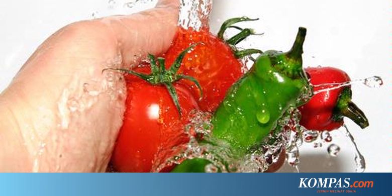 Lirik Lagu Anak Anak Korea Tomato Arsia Lirik