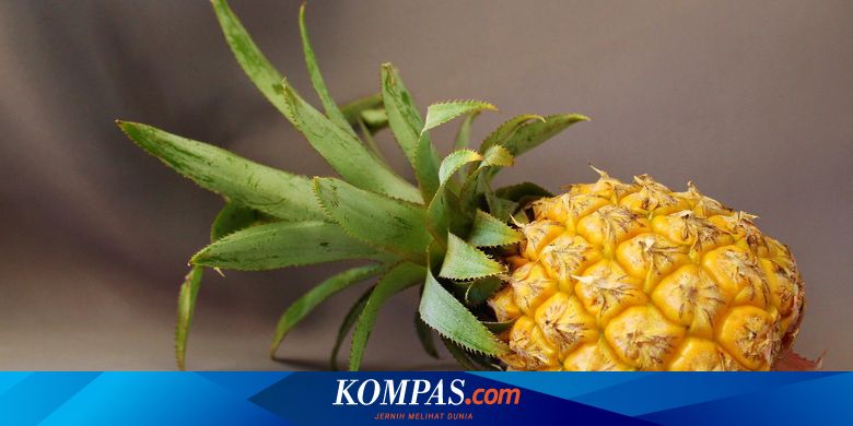 Pineapple facts from origin to nutrition to benefits page all