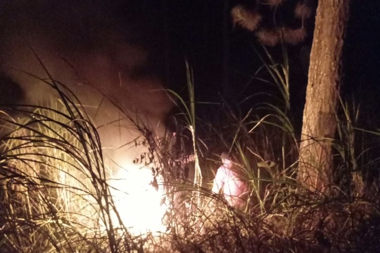 Kebakaran Gunung Buthak Hanguskan 400 Hektare, Api Masih Muncul di Lereng Kawinajang