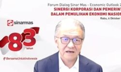 Pertumbuhan Ekonomi Digital Indonesia Jadi Kunci Pemberdayaan UMKM
