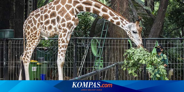 5 Tempat Asyik Long Weekend Di Malang Sekitarnya