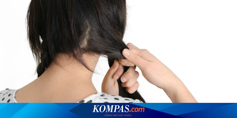 Mungkinkah Rambut Kering Jadi Indah Dan Sehat Simak Trik Ini Halaman All Kompas Com Mungkinkah Rambut Kering Jadi Indah Dan Sehat Simak Trik Ini Halaman All Kompas Com