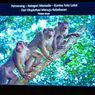 Pameran Foto YKAN, Ajakan Menjaga Keindahan Alam Indonesia