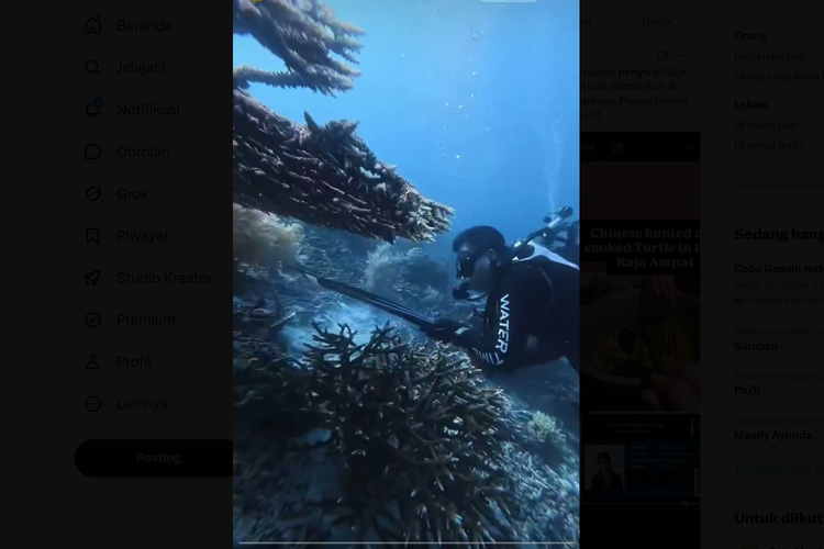 WN China Tombak Penyu di Raja Ampat, Ternyata Instruktur Selam Berlisensi