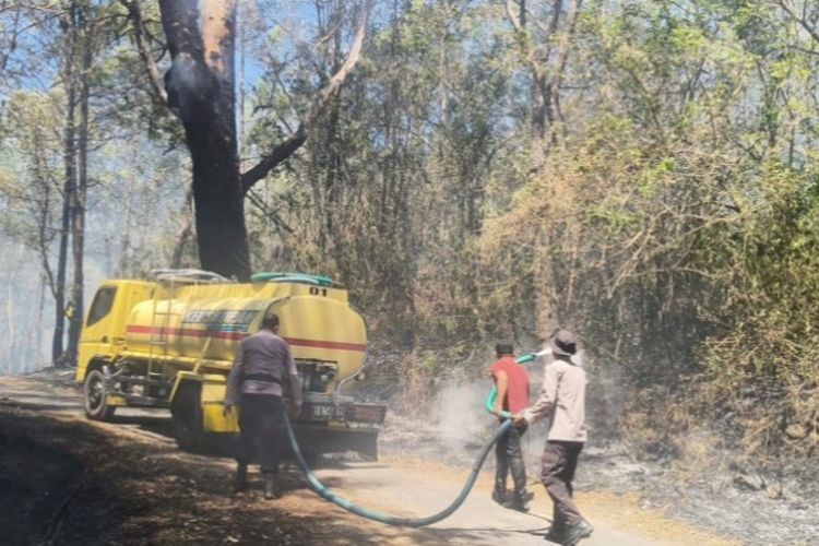 50 Hektare Hutan Lindung Egon Ilinmedo Sikka Terbakar