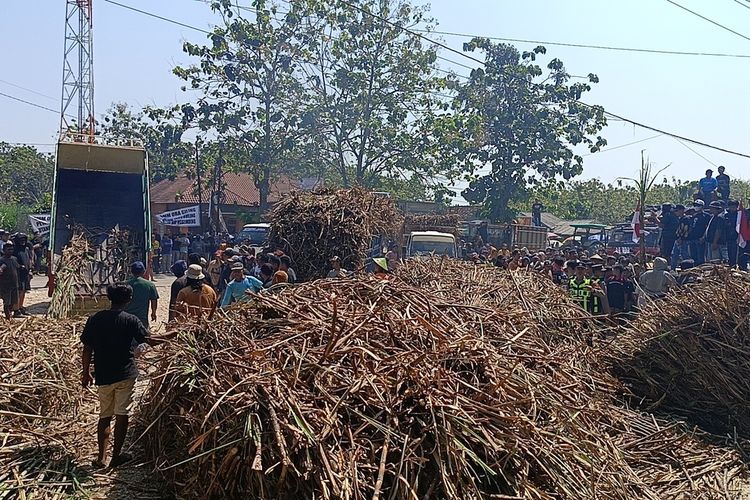 Petani Aksi Tumpah Tebu, PT GMM Blora Bakal Alihkan Pengiriman Hasil Panen ke Pabrik Lain