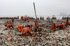 Penanganan Lautan Sampah di Muara Angke Terkendala Cuaca