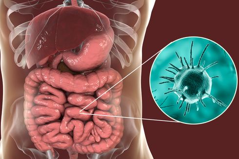 Infeksi Bukan Salah Kuman atau Lingkungan tetapi Soal Imunitas Tubuh