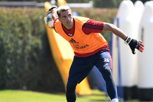 Profil Emiliano Martinez, Kiper 