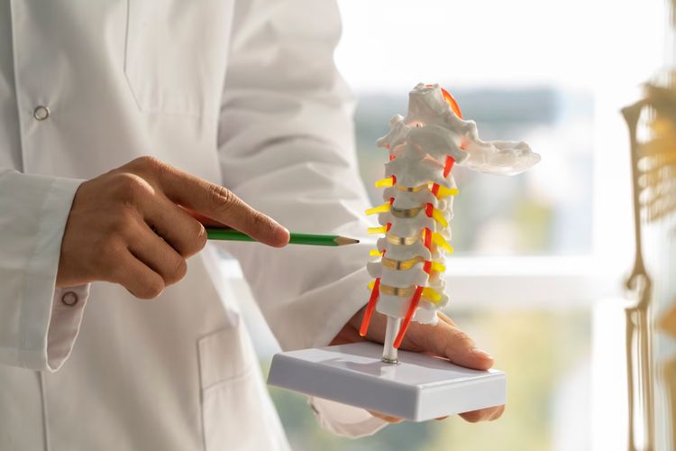 Kesehatan tulang tak hanya ditentukan kalsium. Dokter jelaskan peran nutrisi, hormon, dan aktivitas fisik dalam menjaga kekuatan tulang sejak dini.