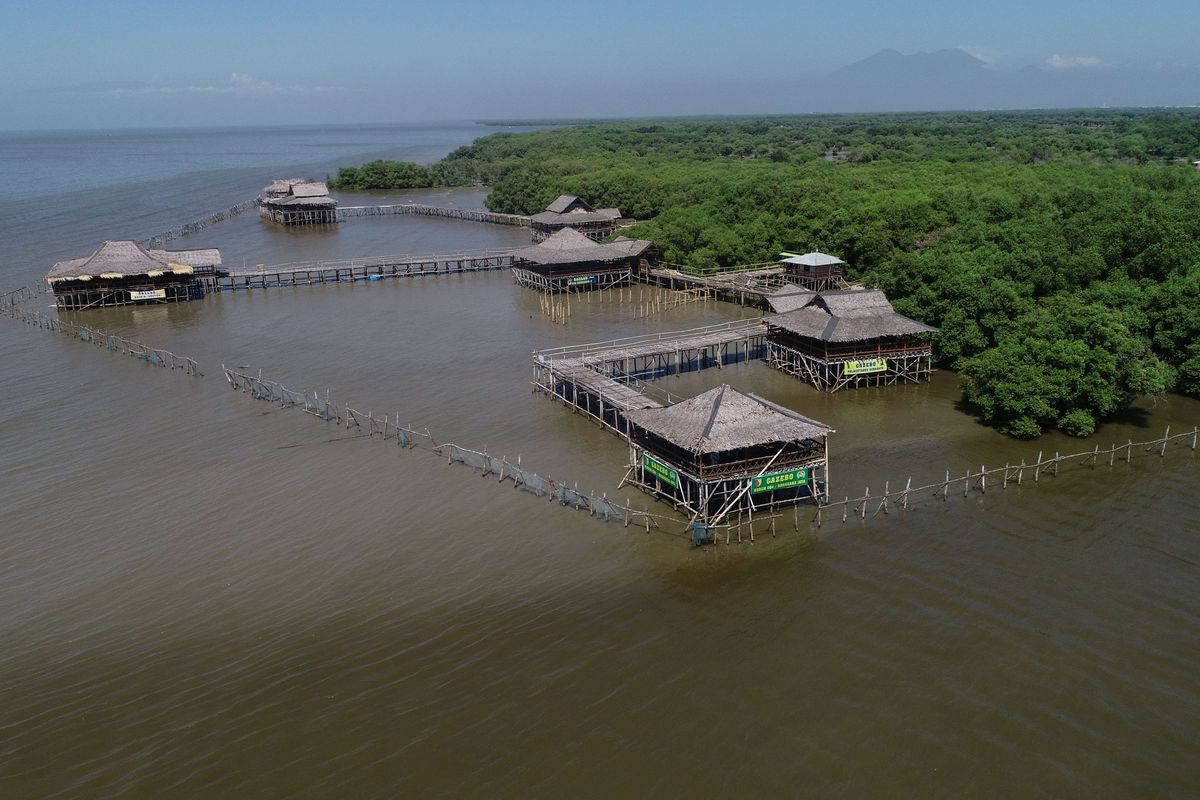 Wisata mangrove Wonorejo, Surabaya, Jawa Timur, Sabtu (25/5/2019).