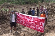 Mengapa Sebagian Hewan Memakan Anaknya Sendiri?