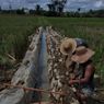 Tingkatkan Produktivitas Pertanian, Kementan Perbaiki Jaringan Irigasi di Barito Timur
