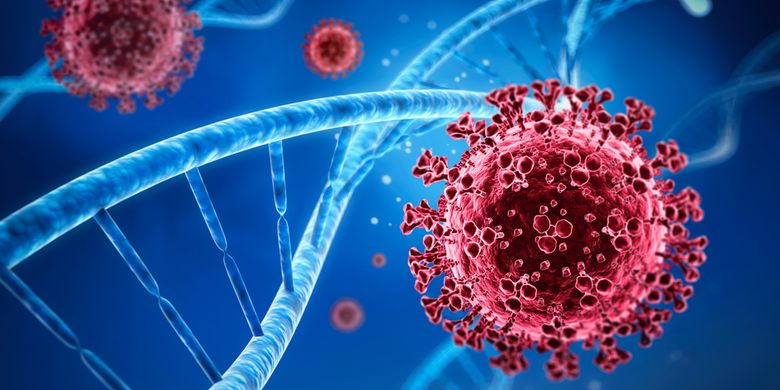 Kunci Jawaban Lkpd Virus