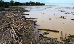 Kemenhut: Gelondongan Terbawa Banjir Berasal dari Pohon Lapuk dan Kemungkinan 'Illegal Logging'