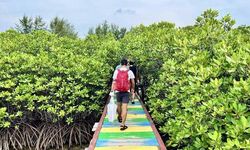 Blue Carbon Indonesia: Solusi Iklim atau Ilusi Pasar Hijau?